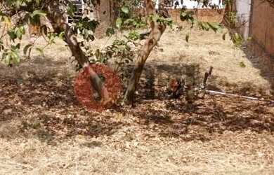 Imagem: O terreno possui 484m² de Área e está localizado em Boa Vista