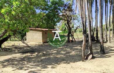Imagem 6: Fazenda no Faina GO 38 alq