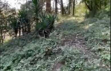 Imagem 3: Ótimo Terreno à venda no bairro BATEIAS , CAMPO LARGO - PR