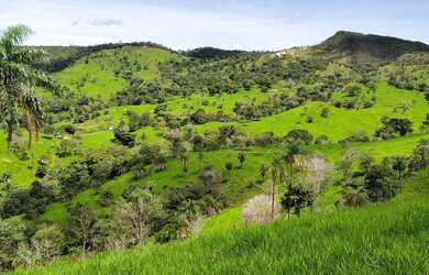 Imagem 11: Fazenda de 57 alqueires. 1m² de Área