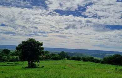 Imagem 5: Excelente fazenda com 687 hectares à venda na região de Pirapora/MG