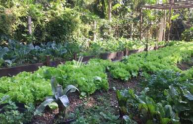 Imagem 11: terreno - Sítios de Recreio Gramado - Campinas