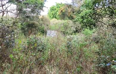 Imagem 6: Terreno de 13,7 hectares a 500 m de estrada de terra