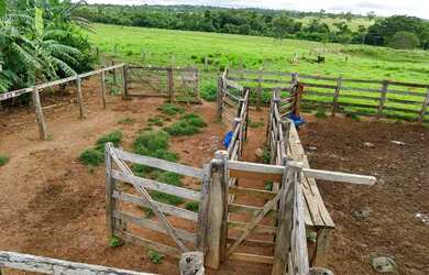 Imagem: A fazenda possui 580000m² de Área Privada e está localizado