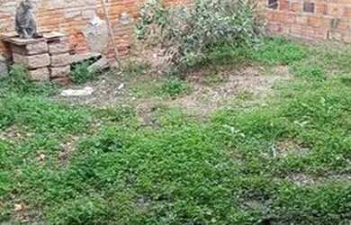 Imagem: A casa possui 2 Dormitórios, 1 Banheiro, 1 Vaga na garagem