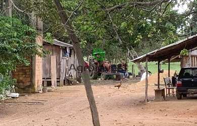 Imagem 15: Fazenda no Município de São Miguel do Araguaia - GO