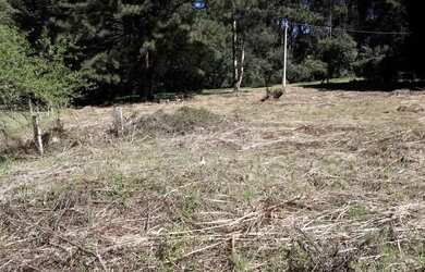 Imagem 2: Terreno - Bairro Parque das Hortênsias