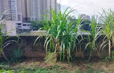 Imagem 5: Casa à venda em Barueri, Jardim Paraíso, com 3 quartos, com 320 m²