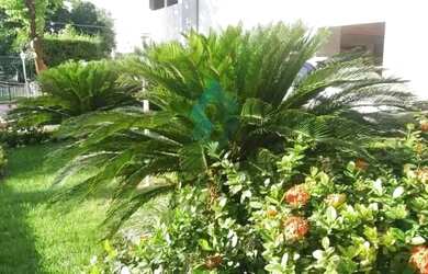 Imagem 4: Cachambi Apartamento com 2 dormitórios