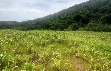 Imagem: O terreno possui 500m² de Área e está localizado em Ibiúna