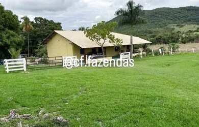 Imagem 14: Fazenda à venda em Goiás-Go