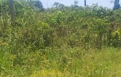 Imagem: O terreno possui 1.230m² de Área e está localizado em Nações