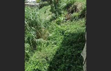 Imagem: O terreno está localizado em Lago Azul, Manaus à venda por