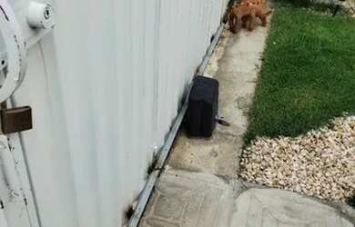 Imagem 6: Casa para Alugar Santa Barbara Px ao Buona Vita