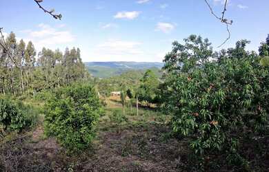 Imagem 3: Sitio - Bairro Linha Caraha