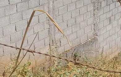 Imagem: O terreno possui 360m² de Área e está localizado em Mateus