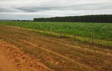 Imagem 4: Fazenda de 6.300 hectares em Bonfinopolis-MG