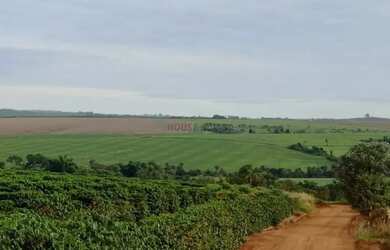 Imagem 7: fazenda na região da cidade de franca no estado de São Paulo