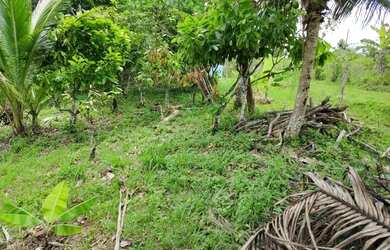 Imagem 11: Fazenda de 26,4167 hectares