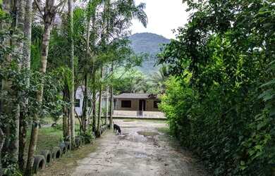 Imagem 8: Chácara na banqueta. Varanda, Área de serviço, 3.000m² de Áreae2...