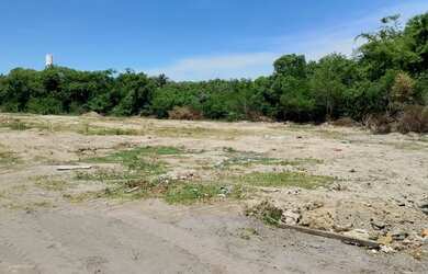Imagem 11: Lotes de terreno em Paciência