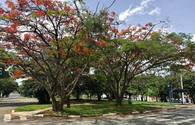 Imagem 4: Terreno à venda em Campinas, Jardim Santa Genebra, com 456 m²
