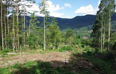 Imagem 10: Área - Bairro Linha São Paulo