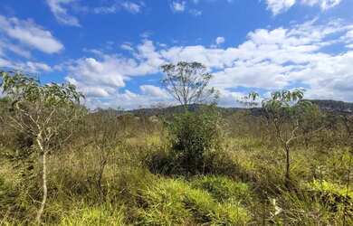 Imagem 15: Terreno de 13,7 hectares a 500 m de estrada de terra