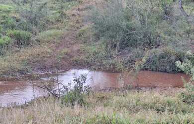 Imagem 12: Fazenda no prata 3 milhões