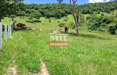 Imagem 5: Chácara 3,61 alqueires 17,5 hectares Taquaral - Go