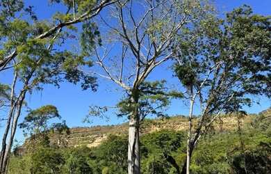 Imagem 2: Hotel/Motel/Pousada para venda com 3949 metros quadrados com 1 quarto