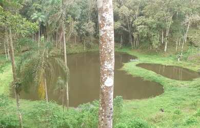 Imagem 3: 1 hectare Paulista 3 lagos mais pocilga 174 mil reais