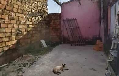 Imagem 12: VENDO CASA COM 2 PAVIMENTOS NO ATALAIA ANANINDEUA, 2 QUARTOS SENDO 1 SUÍTE,...