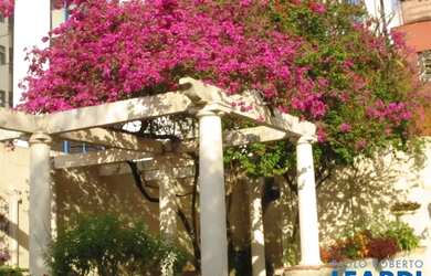 Imagem 2: APARTAMENTO - BARRA FUNDA - SP