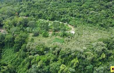 Imagem 11: Sítio / Chácara para Venda em Nova Petrópolis, Feliz lembrança, 2...