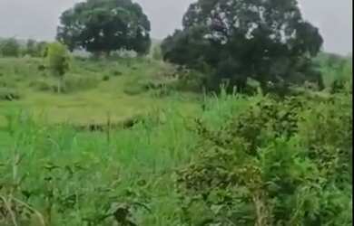 Imagem: A fazenda possui 2.000m² de Área e está localizado em Joaquim