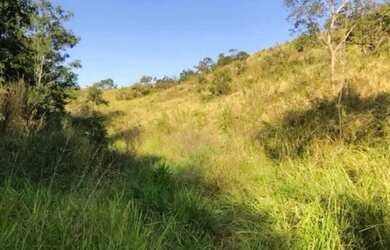 Imagem 4: Arrendo Fazenda de 18 alqueires próxima ao asfalto