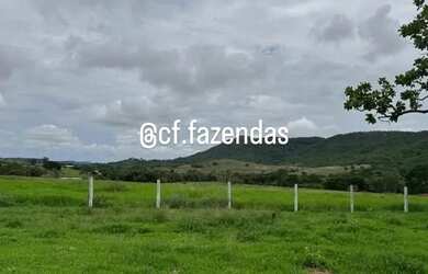Imagem 13: Fazenda à venda em Goiás-Go