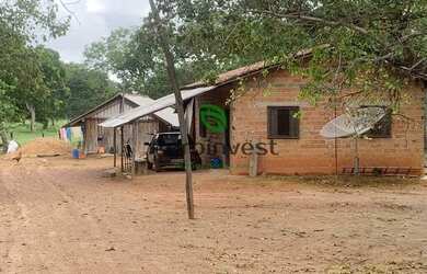 Imagem 16: Fazenda no Município de São Miguel do Araguaia - GO