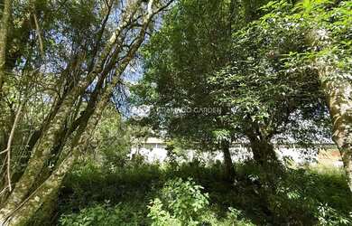 Imagem 5: TERRENO A VENDA NO CENTRO DE GRAMADO COM 802M²