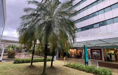 Imagem 8: Excelente Sala do Hangar Business Park, 55m², andar intermediário, piso porcelanato, boa i