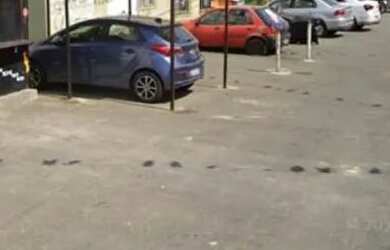 Imagem 8: Vendo um apartamento quitado próximo ponto de ônibus mercado Farmácia escola