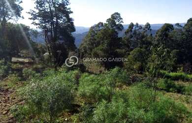 Imagem 11: SÍTIO À VENDA VÁRZEA GRANDE - GRAMADO/RS