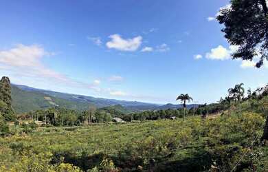 Imagem: A fazenda possui 30.000m² de Área e está localizado em Gramado