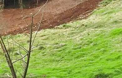 Imagem: A chácara possui 21.725m² de Área e está localizado em