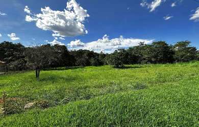 Imagem: O terreno possui 5.000m² de Área e está localizado em Senador