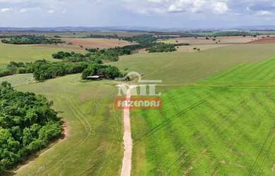Imagem: A fazenda possui 500m² de Área e está localizado em Edealina