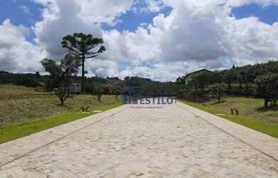 Imagem 15: Terreno à venda, 559 m² por R$ 699.000,00 - Monte Bérico - Caxias do Sul/RS