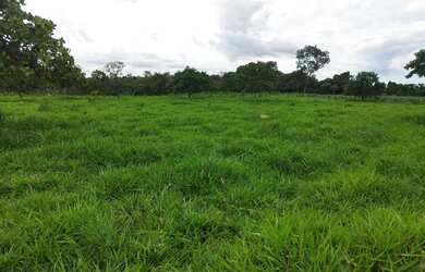 Imagem: A fazenda possui 242.000m² de Área e está localizado em