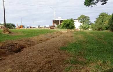 Imagem 16: fazenda na região da cidade de franca no estado de São Paulo